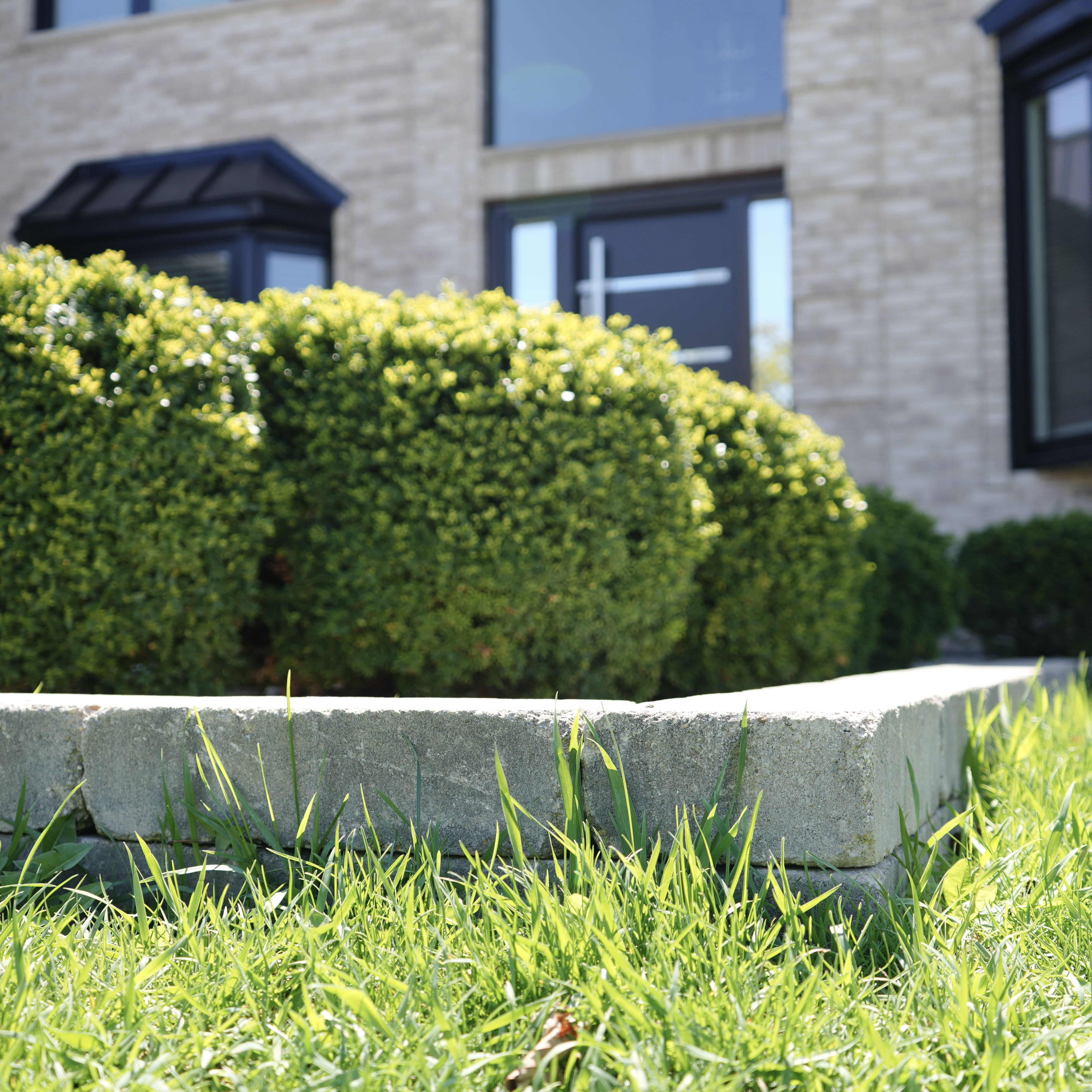 Finished paver border alongside a manicured boxwood hedge on a Chicagoland residential property — work by Exotic Pavers and Landscaping.